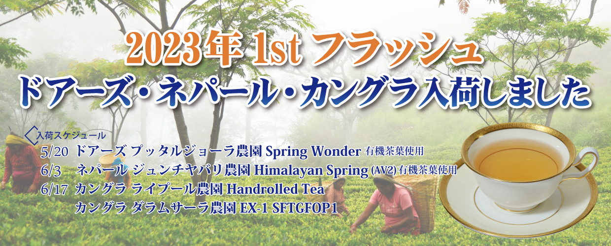 ☆ カルディ さくらラテ ＆ 辻利 ほうじ茶ミルク 往復送料無料